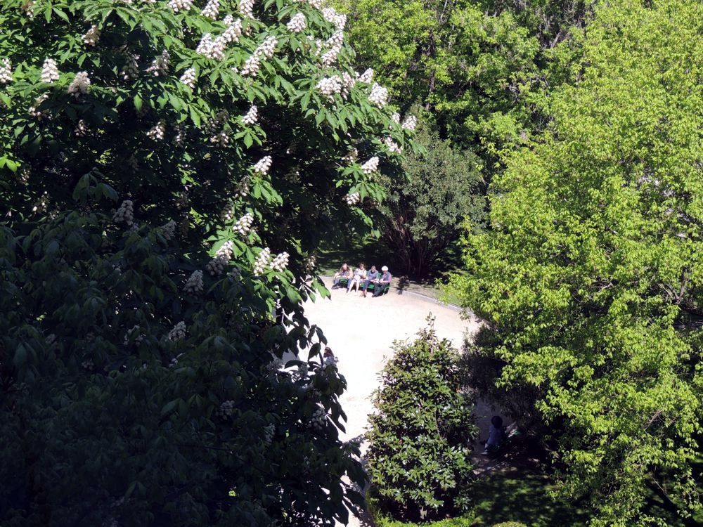 View outside to courtyard